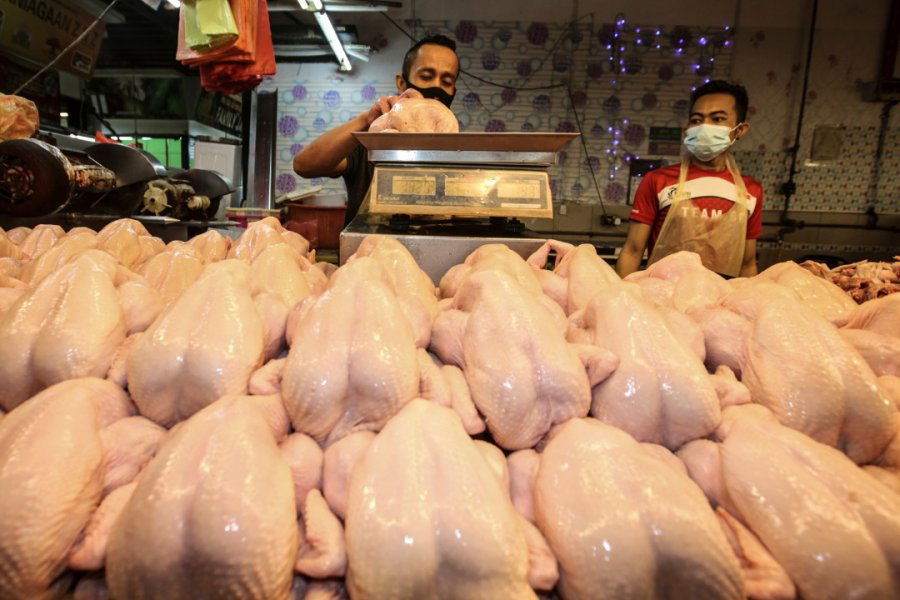 焦点新闻：6岁上小学 势在必行