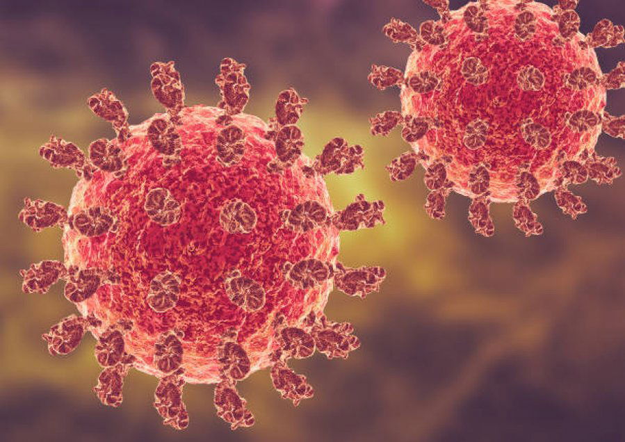 焦点新闻：6岁入学登记 2月起开放